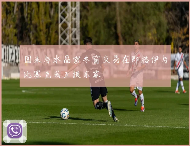 国米与水晶宫冬窗交易在即格伊与比塞克或互换东家